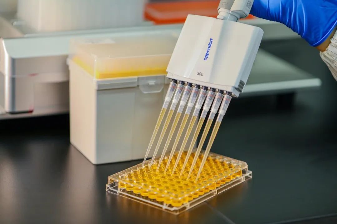 Chì ci hè a punta di pipette ghjusta per voi?