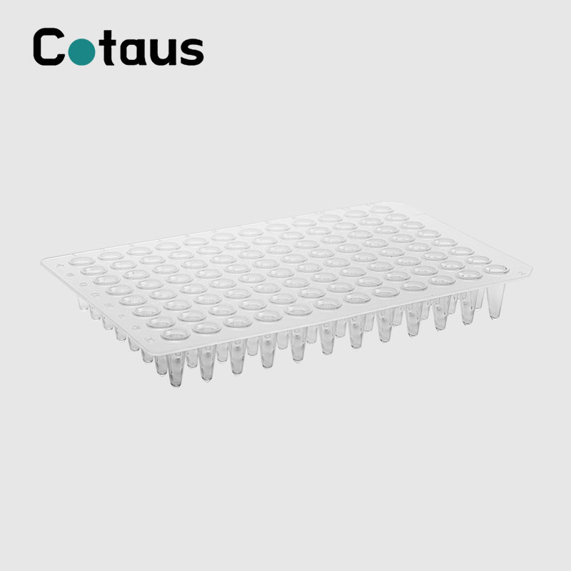 96 Well 0.1ml Trasparente No Skirt PCR Plate