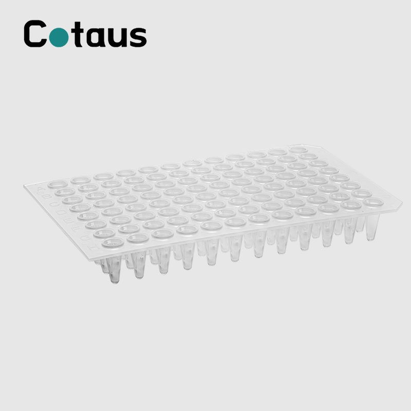 96 Well 0.2ml Trasparente No Skirt PCR Plate